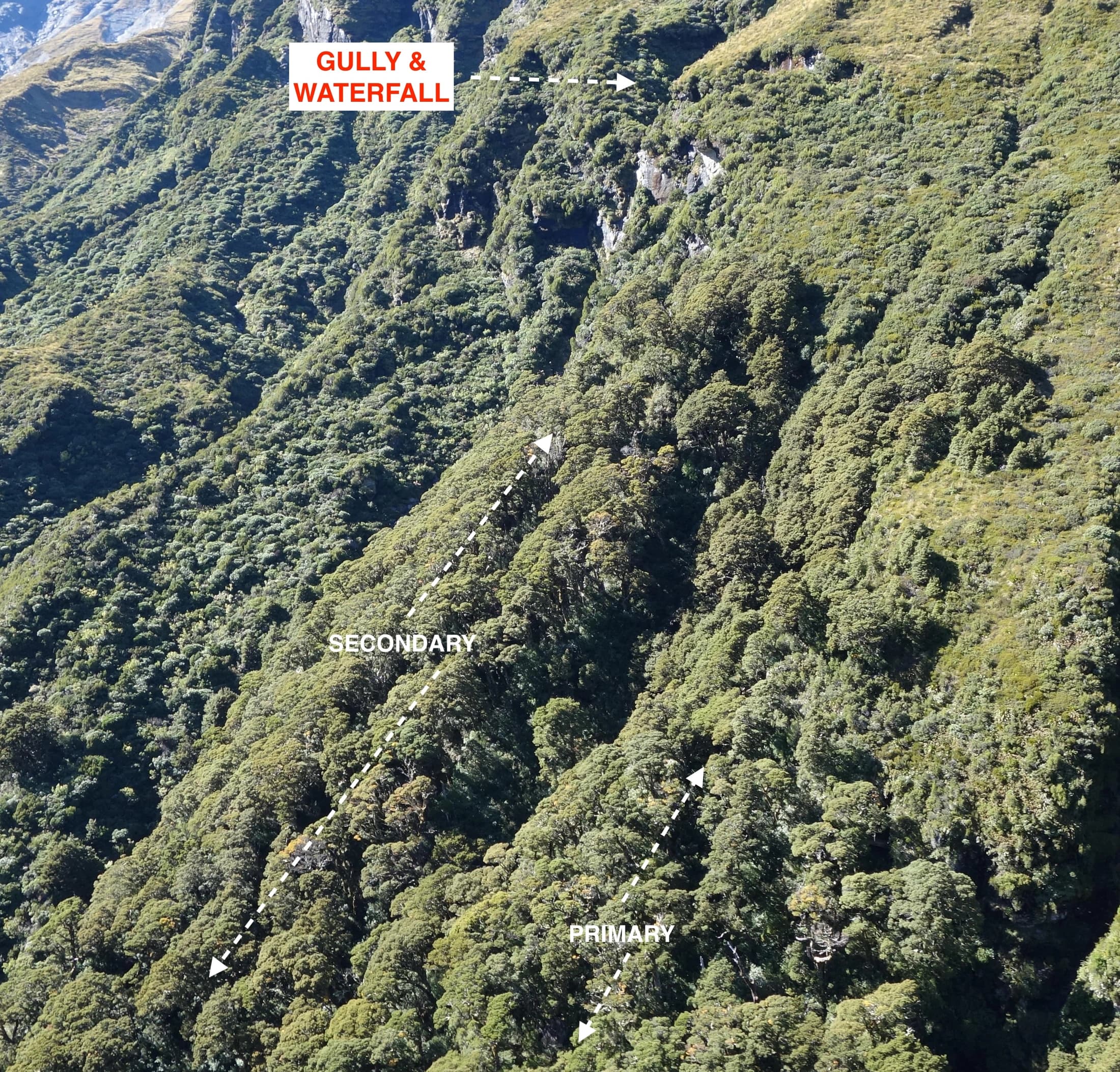 Gully and waterfall image with Primary and Secondary areas marked.