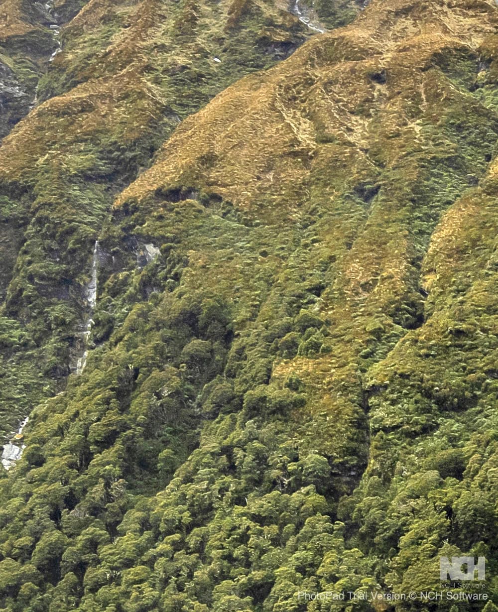 Tops terrain photo above the Rainbow Valley bushline.